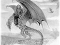 wyvern-rider 773-m.jpg